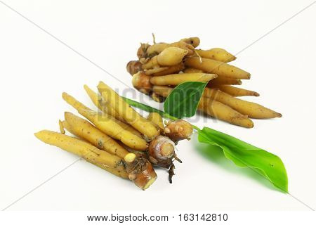 finger root Ingredients for Thai Cuisine on white background