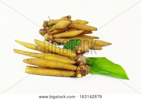 finger root Ingredients for Thai Cuisine on white background