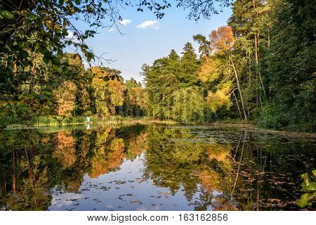 Lake in the autumn park. Autumn landscape.