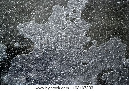 frozen puddle in late autumn in the park