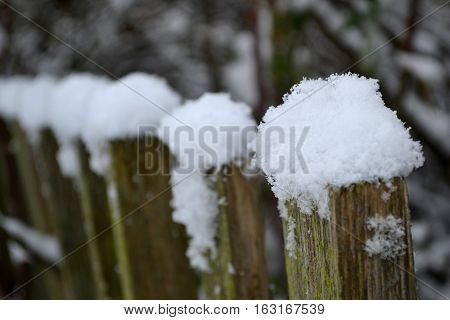 snow on an old fence in the park in the late autumn