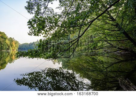 Lake in the autumn park. Autumn landscape.