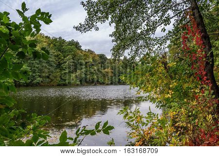 Lake in the autumn park. Autumn landscape.