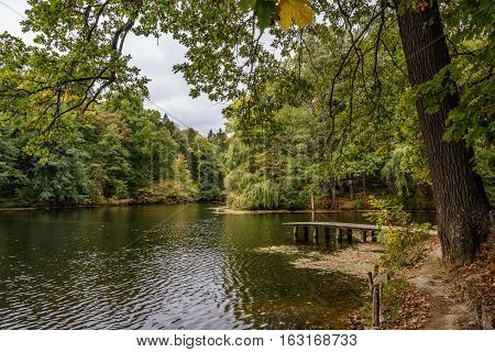 Lake in the autumn park. Autumn landscape.
