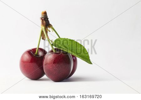 Three delicious cherries with leaf on white background