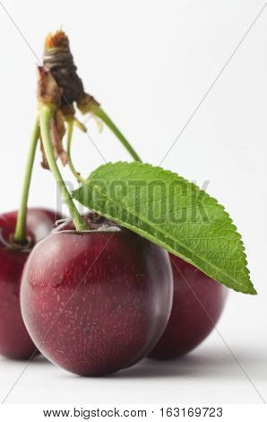 Closeup of three cherries on white background
