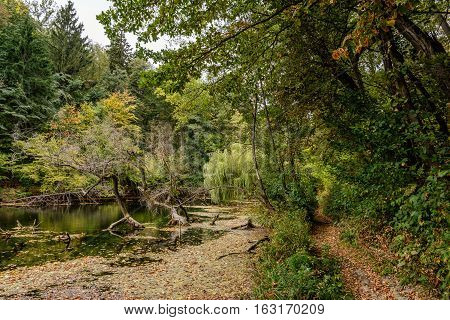 Lake in the autumn park. Autumn landscape.