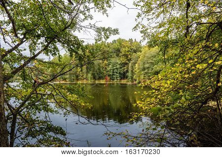 Lake in the autumn park. Autumn landscape.