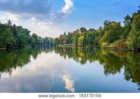 Lake in the autumn park. Autumn landscape.