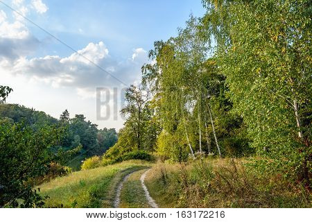 Autumn park. Arboretum. Trostyanets Chernihivs'ka oblast Ukraine.