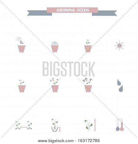 Set of flat colorful grown seeds icons on white, agronomy stock vector illustration