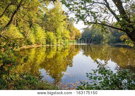 Lake in the autumn park. Autumn landscape.
