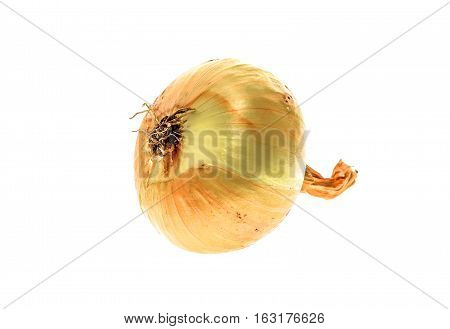Organic Bio Homegrown Unpeeled Yellow Onion Isolated On White Background.