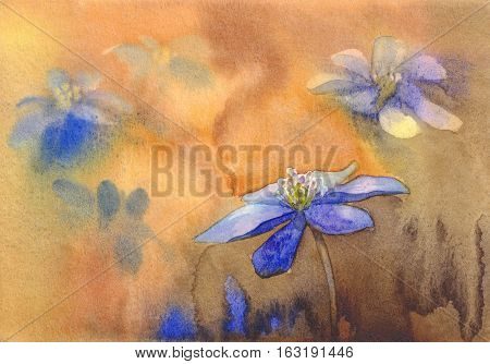 Blue hepatica with petals. Watercolor botanical illustration on forest color background. Hand drawn spring flower.