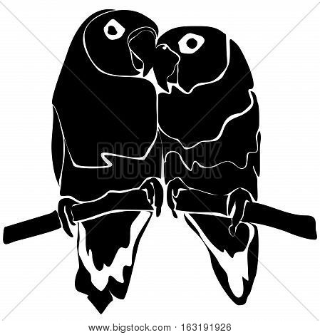 Template monochrome isolated on white pair of birds