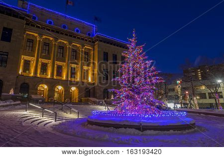 An urban park in Calgary at night all decorated for Christmas with beautiful Christmas lights.