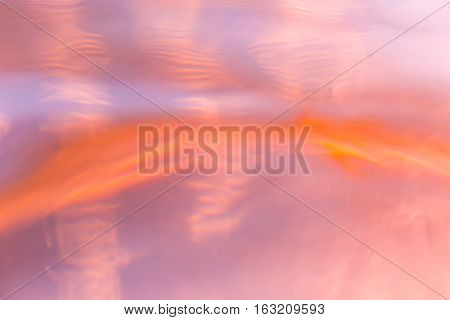 Abstract Macro Of Moving Waves On Luquid