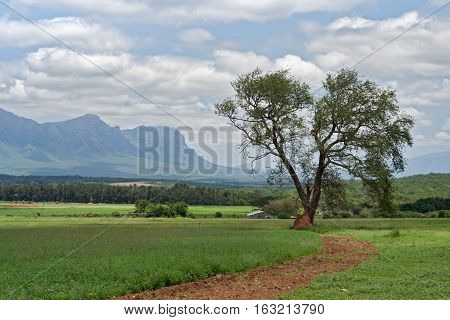 Landscape in the west of waterberg, South Africa