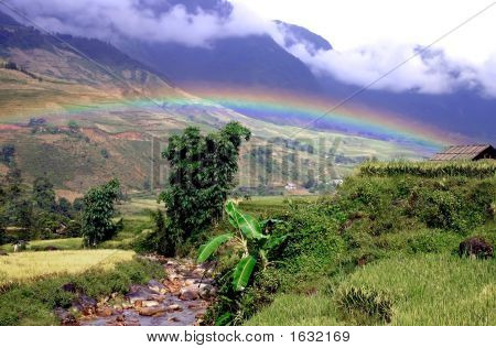 Raimbow em paraíso