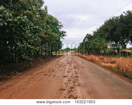 Road with mud and brands of step