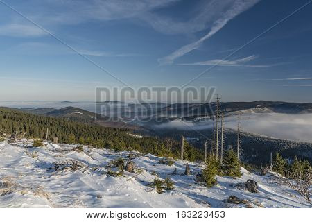 Sunny Day In Jeseniky Mountains Near Kralicky Sneznik Hill With Snow