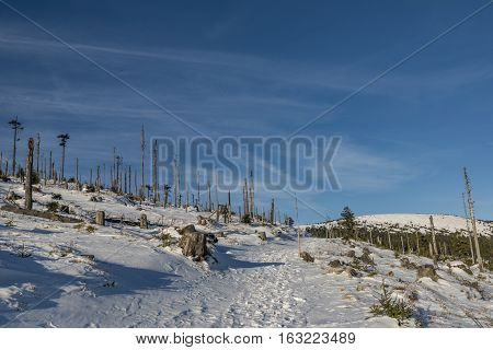 Sunny Day In Jeseniky Mountains Near Kralicky Sneznik Hill With Snow