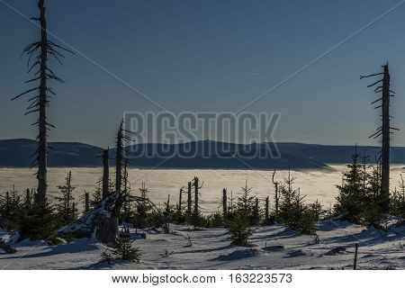 Sunny Day In Jeseniky Mountains Near Kralicky Sneznik Hill With Snow