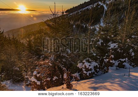 Sunrise In Jeseniky Mountains In Christmas Time Near Kralicky Sneznik Hill