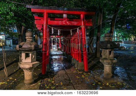 Red Torii Gates Of Hanazono Shinto Shrine, Shinjuku, Tokyo, Japan