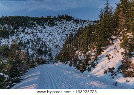 Sunrise In Jeseniky Mountains In Christmas Time Near Kralicky Sneznik Hill