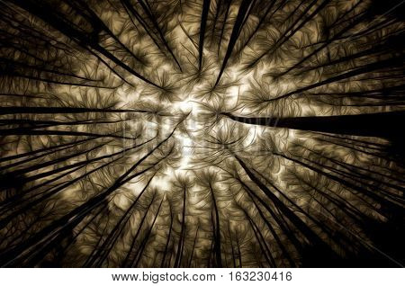 Abstract image of the haunted forest - mixed media