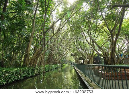 Thailand Park, ilon bridge and green trees