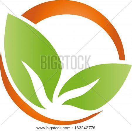 Two leaves and circle, plant in green, naturopath and nature logo