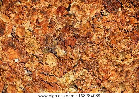 Natural texture of the pressed fruit flowers buds leaves of tea. Pu-erh close-up traditional chinese drink antioxidant from China.