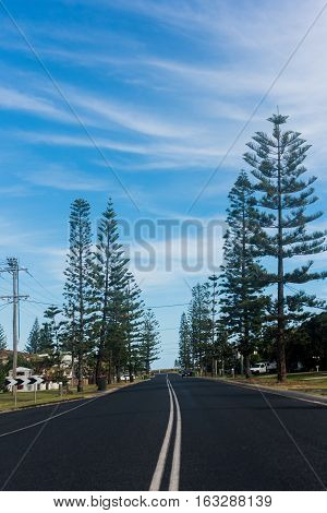 A residential road surrounded by trees in Yamba, Australia