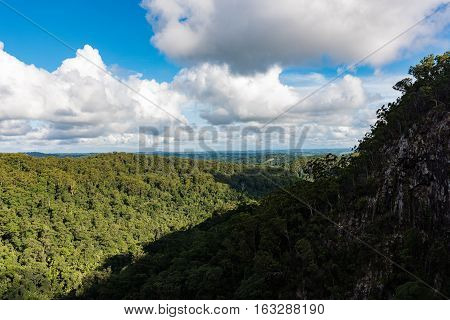 Stunning views of the rainforest from Minyon Falls lookout in Nightcap National Park, New South Wales, Australia