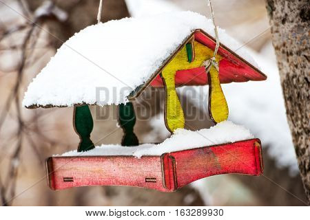 Bird feeder like a house in winter Park