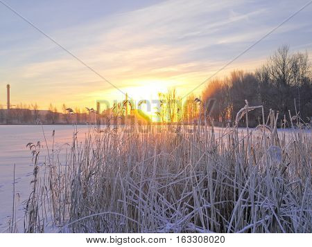 Sunset by urban lake in winter. Frozen water and frost covered grass.