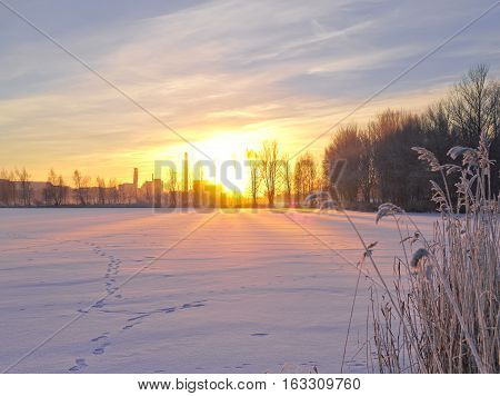 Beautiful winter sunset by an urban lake. Scenery vegetation ice and snow.