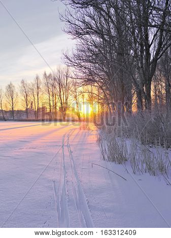 Skiing tracks on frozen urban lake. Beautiful winter sunset.