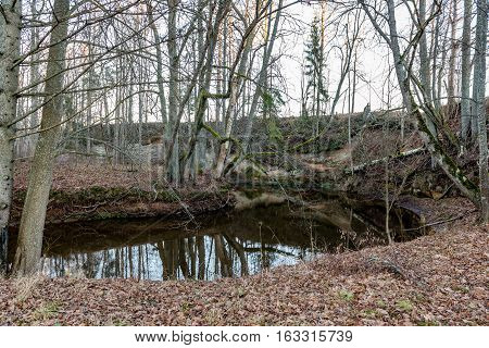Sandstone Cliffs In Latvia