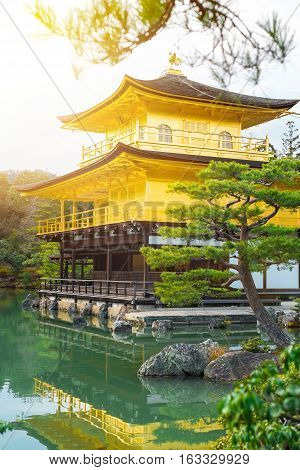 The world cultural heritage Kinkaku Ji under dramatic morning sunshine the traditional golden zen buddhist temple in Kyoto Japan