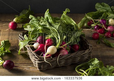 Raw Organic Muli Colored Easter Radishes