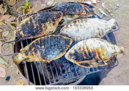 The Thailand style burn or adust grilled fishes in the charcoal grill.