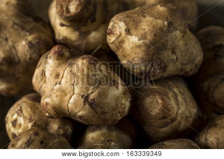 Raw Organic Jerusalem Artichoke Sunchokes