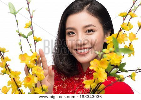 Portrait of a beautiful Asian woman on traditional festival costume Ao Dai holding Hoa Mai tree (Ochna Integerrima) flower. Tet holiday. Lunar New Year.