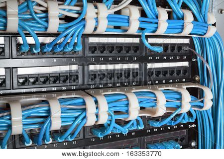 Server rack with blue internet patch cord cables connected to patch panel in server room