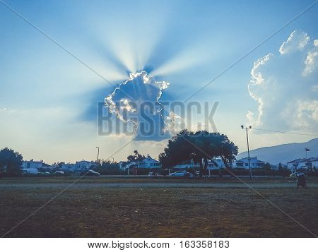 Scenery of hidden sun behind the clouds with a tree