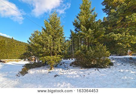snowy Oeta mountain at central Greece - famous winter destinations