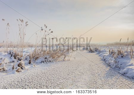 sunrise in winter. Location: Comana Natural Park Romania.